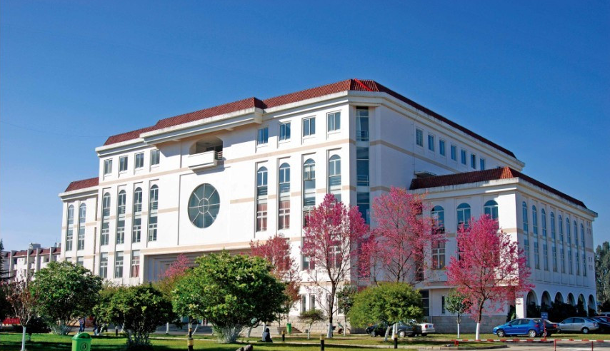 1611280999499979.png 1611280999499979.png